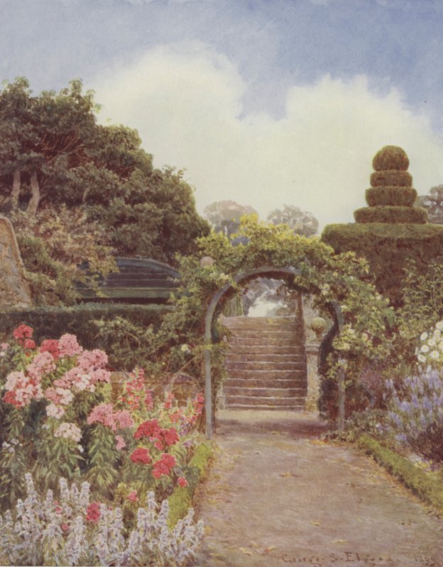 Crathes, Phlox von George Samuel Elgood