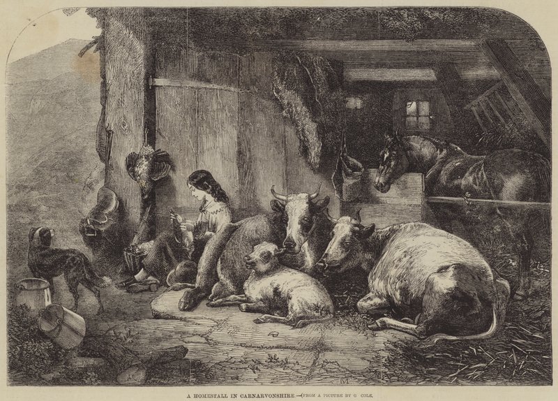 Ein Bauernhof in Carnarvonshire von George Vicat Cole