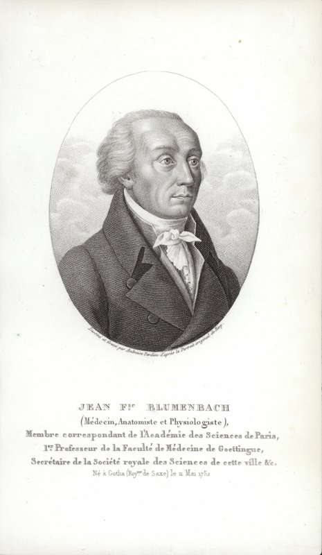 Johann Friedrich Blumenbach von German School