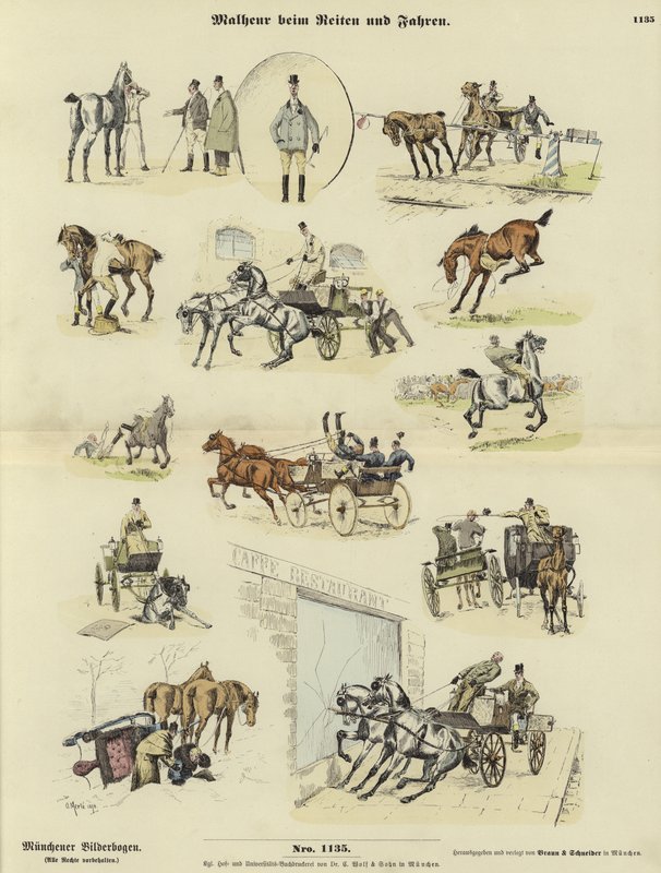 Missgeschicke beim Reiten und Fahren von German School