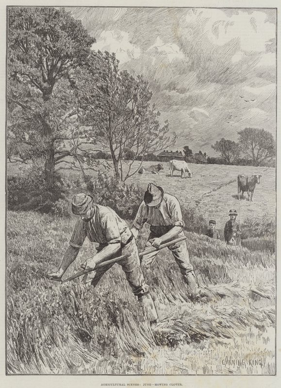 Landwirtschaftliche Szenen, Juni, Klee mähen von Gunning King