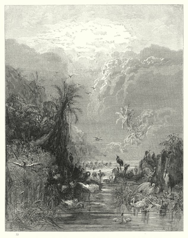 Illustration von Gustave Doré für Miltons Paradise Lost, Buch VII, Zeilen 417, 418 von Gustave Dore