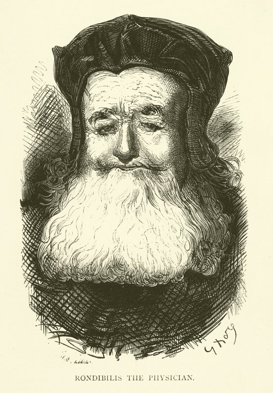 Illustration für die Werke von Rabelais von Gustave after Dore