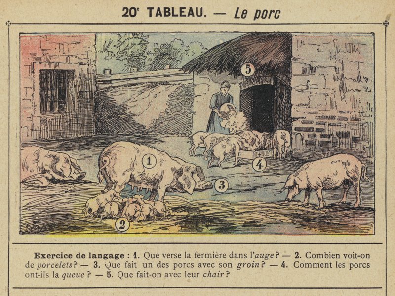 Das Schwein von Gustave Fraipont