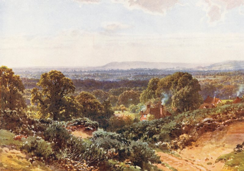 Sandhügel, Blick auf Blackdown von Harold Sutton Palmer