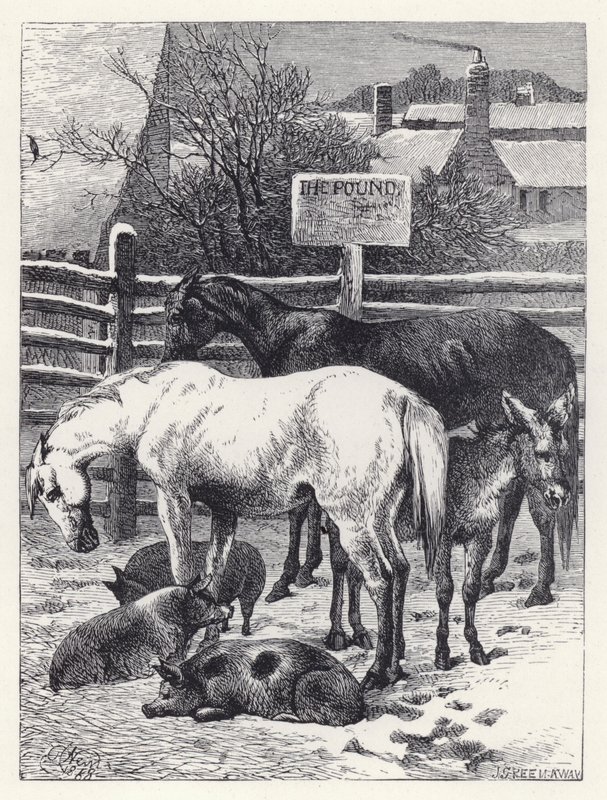 Tiere im Pferch von Harrison William Weir