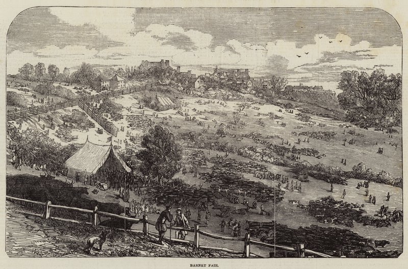 Barnet-Messe von Harrison William Weir