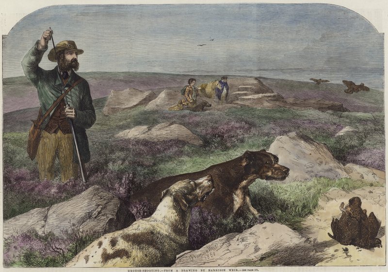Moorhuhnjagd von Harrison William Weir