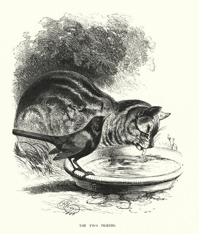 Die zwei Freunde (Stich) von Harrison William Weir