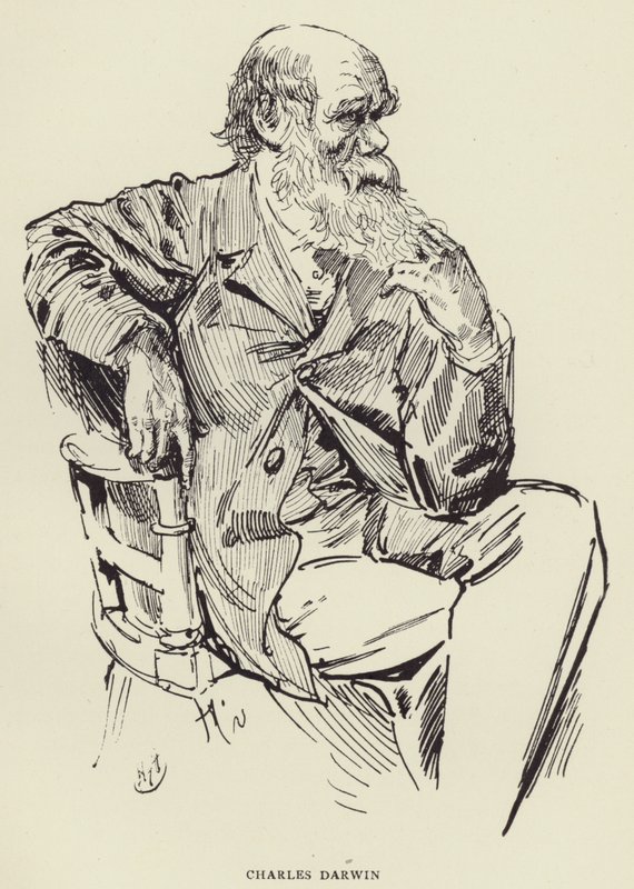 Charles Darwin von Harry Furniss