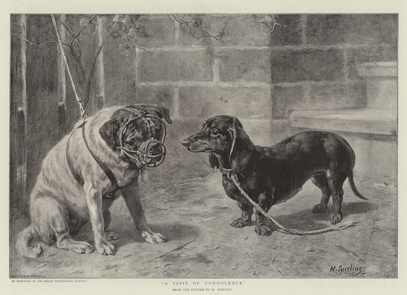 Ein Kondolenzbesuch von Heinrich Sperling