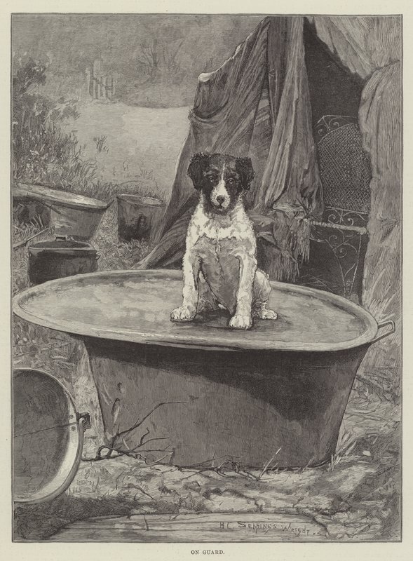 Auf Wache von Henry Charles Seppings Wright