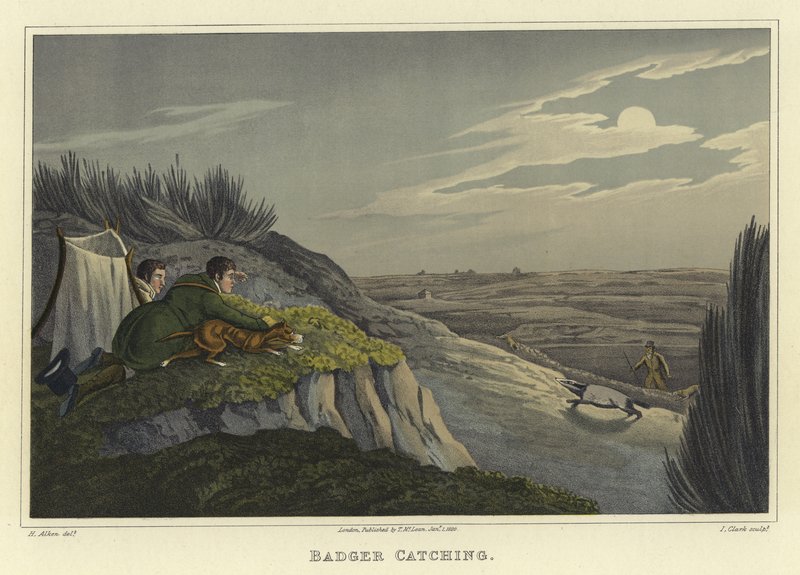 Dachsfang von Henry Thomas Alken