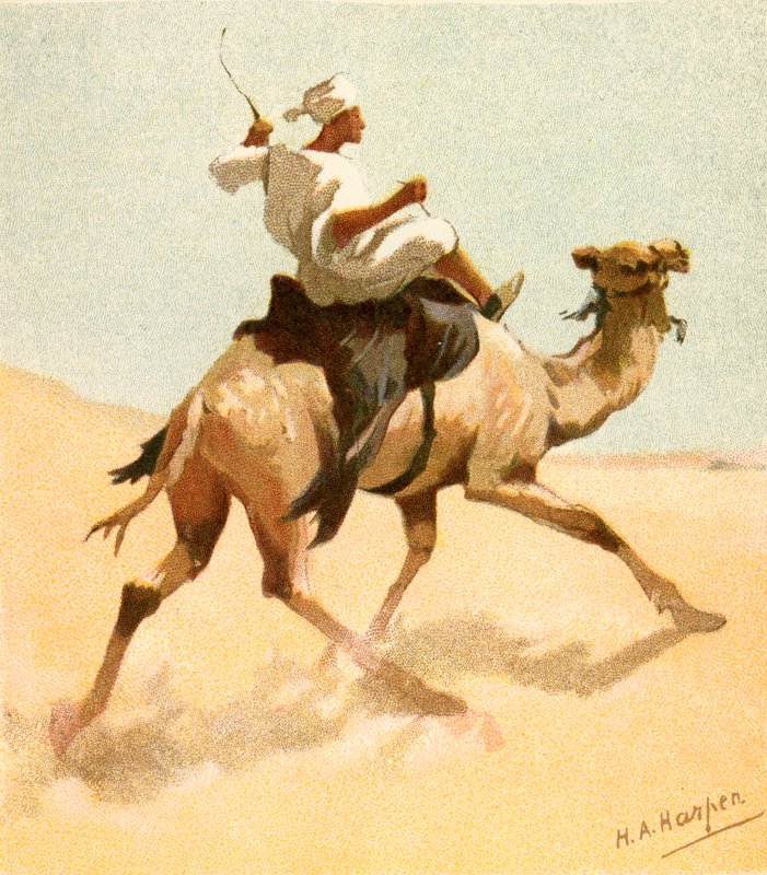 Ein arabischer Postbote von Henry Andrew Harper