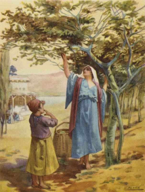 Feigen sammeln (Farblithografie) von Henry Andrew Harper