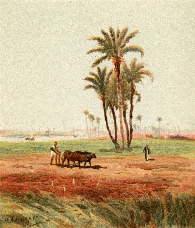 Auf dem Feld von Henry Andrew Harper