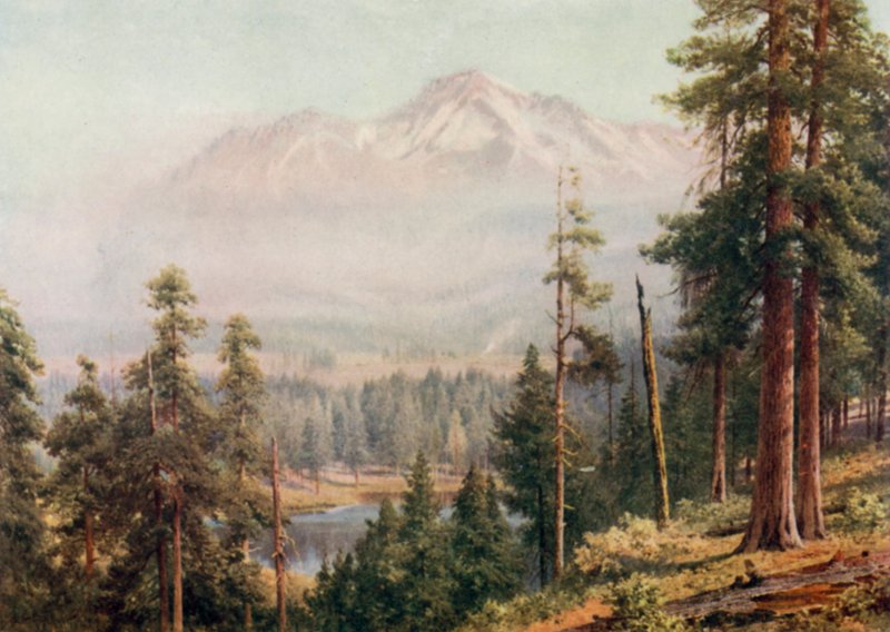 Mount Shasta von Henry Sutton Palmer