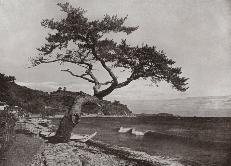 Atami von Herbert Ponting