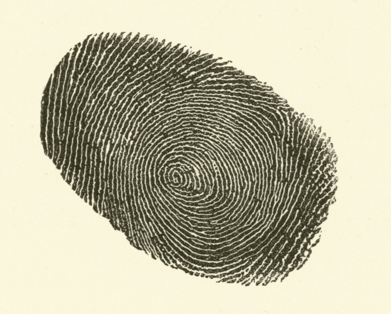 Fingerabdruck von Hugh Rowley