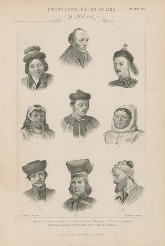 Neun Gesichter verschiedener mongolischer Rassen von J.L. Williams