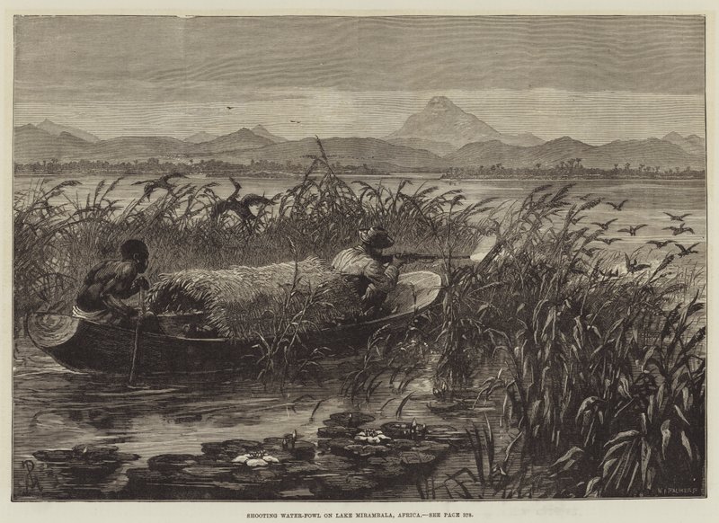 Wasservögel schießen am Mirambala-See, Afrika von Johann Nepomuk Schonberg