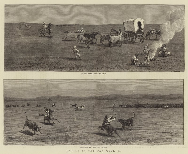 Vieh im Fernen Westen, II von John Charles Dollman