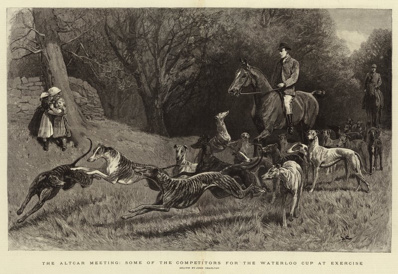 Das Altcar-Treffen, einige der Teilnehmer am Waterloo Cup beim Üben von John Charlton