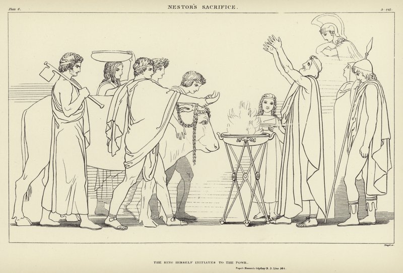 Nestors Opfer von John Flaxman