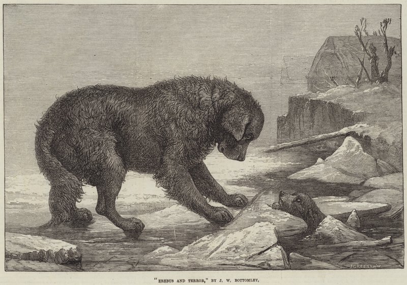 Erebus und Terror von John William Bottomley