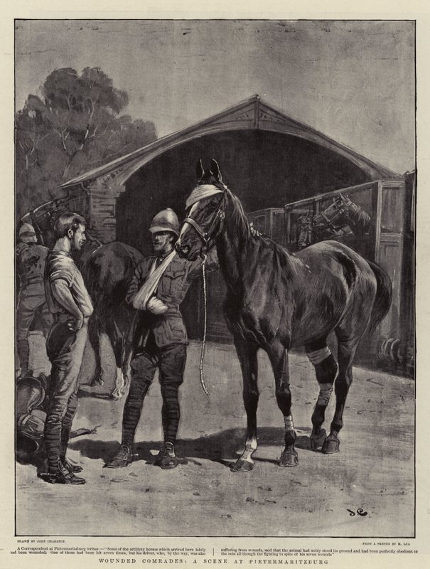 Verwundete Kameraden, eine Szene in Pietermaritzburg von John Charlton