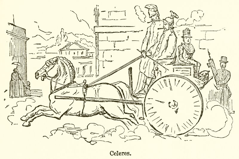 Celeres von John Leech