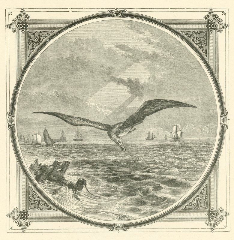 Wenn arm, handle vorsichtig von John Leighton