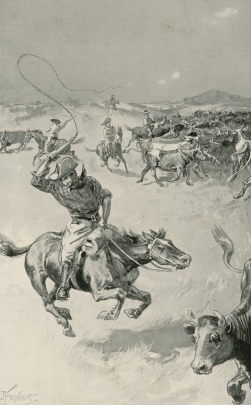 Viehtrieb in Queensland von Joseph Finnemore