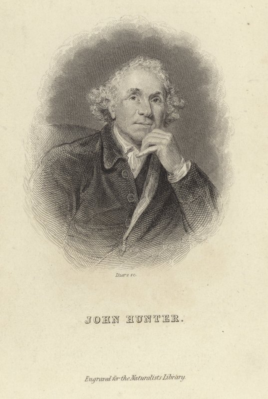 John Hunter von Joshua Reynolds
