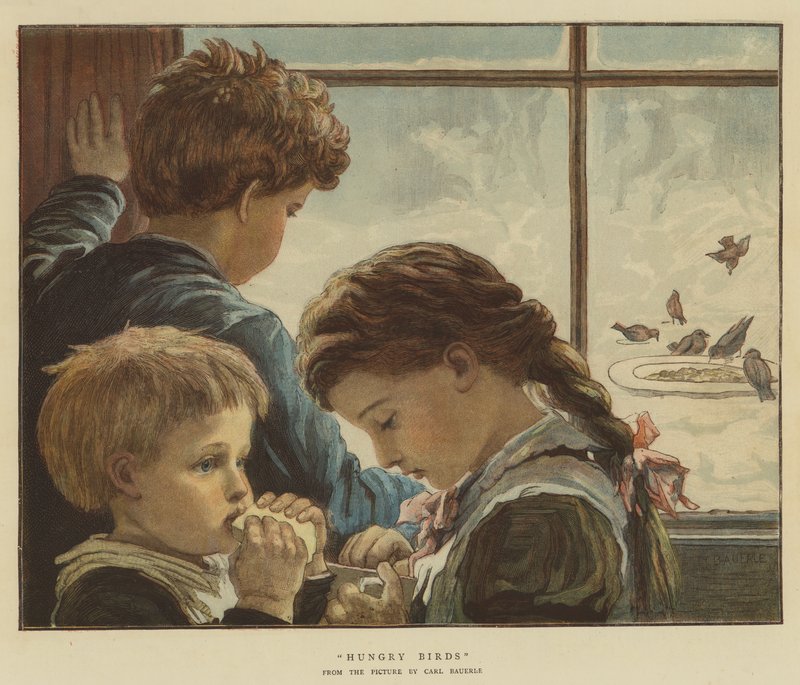 Ungarische Vögel von Karl Wilhelm Friedrich Bauerle
