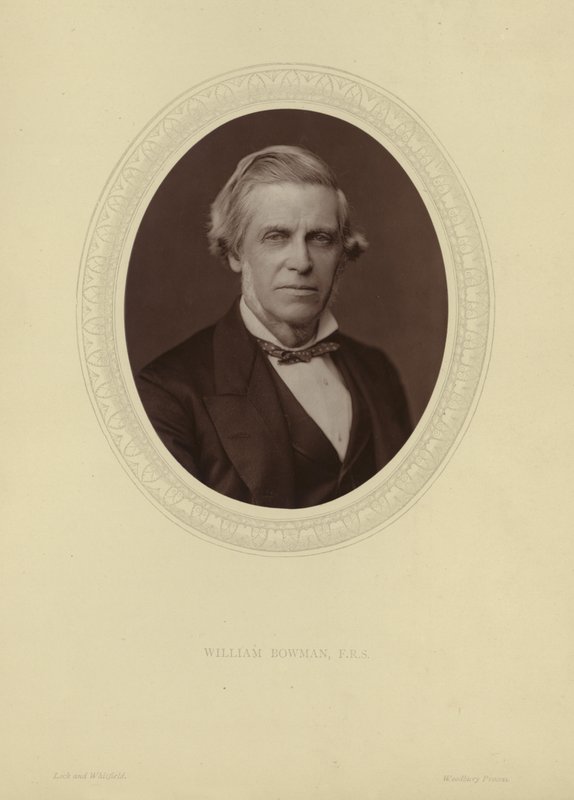 Porträt von Sir William Bowman von Lock and Whitfield