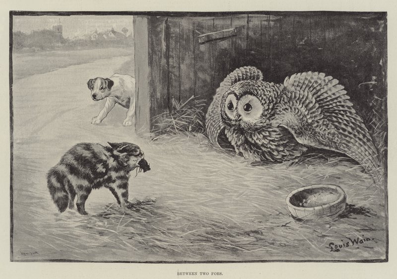 Zwischen zwei Feinden von Louis Wain