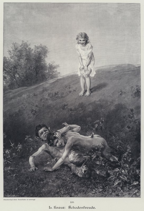 Schadenfreude von Ludwig Knaus