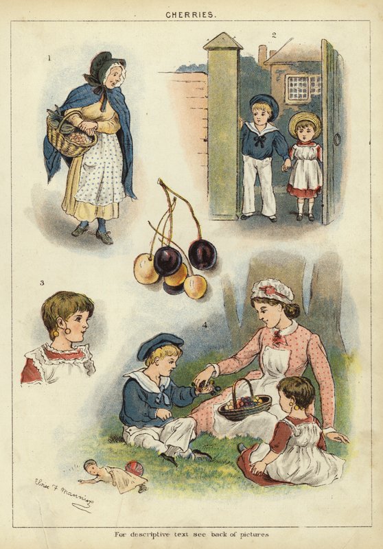 Kirschen von Miss Eliza F. Manning