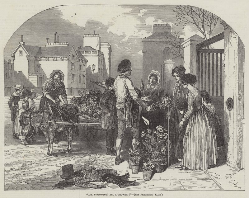Alles blüht! Alles wächst! von Myles Birket Foster