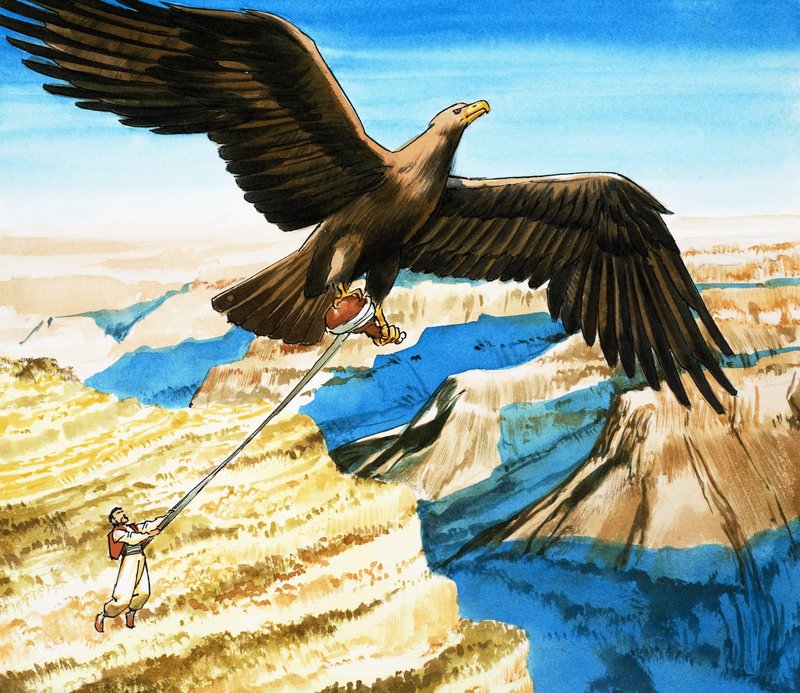 Sindbad der Seefahrer von Nadir Quinto