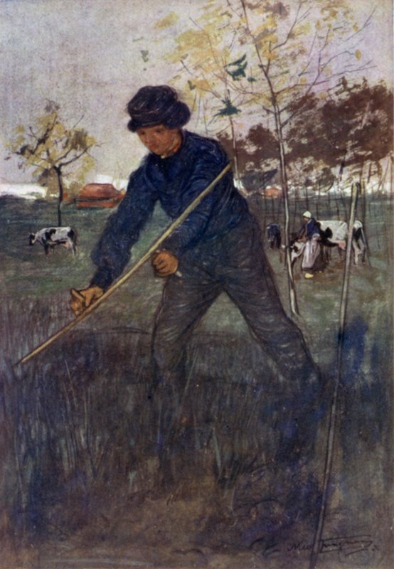Der Mäher von Nico Jungman