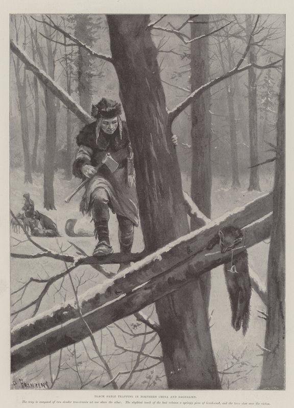 Schwarze Zobeljagd in Nordchina und Saghalien von Paul Frenzeny