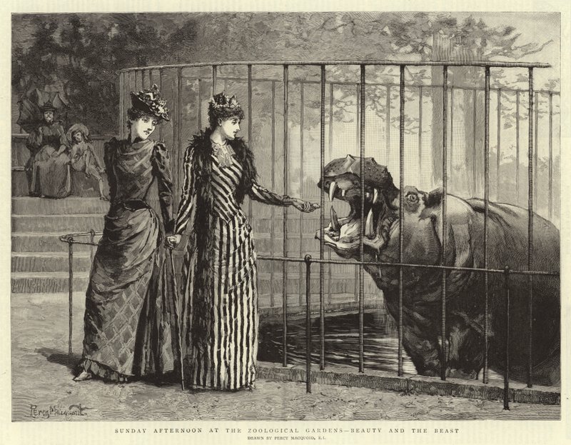 Sonntagnachmittag im Zoologischen Garten, Die Schöne und das Biest von Percy Macquoid