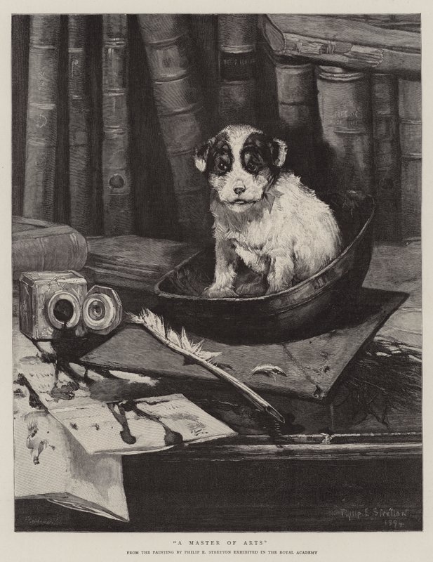 Ein Magister von Philip Eustace Stretton