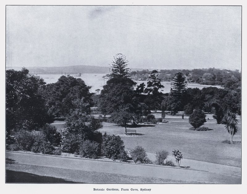 Botanische Gärten, Farm Cove, Sydney von Photographer Australian