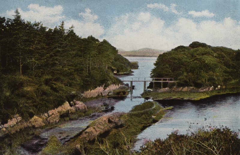 Südirland: Parknasilla, County Kerry von Photographer Irish