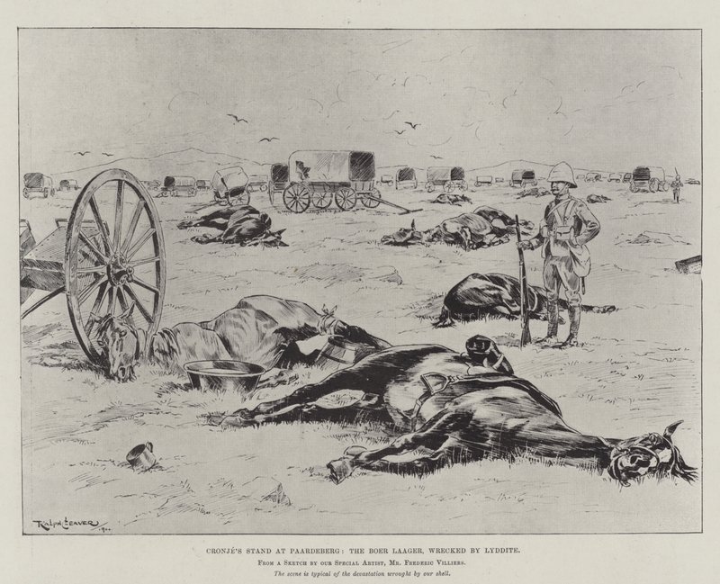 Cronjes Stand bei Paardeberg, das zerstörte Burenlager von Ralph Cleaver