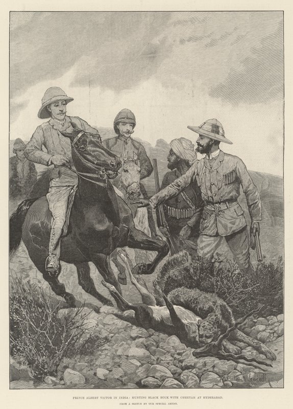 Prinz Albert Victor in Indien, Jagd auf Schwarzwild mit Gepard in Hyderabad von Richard Caton Woodville junior