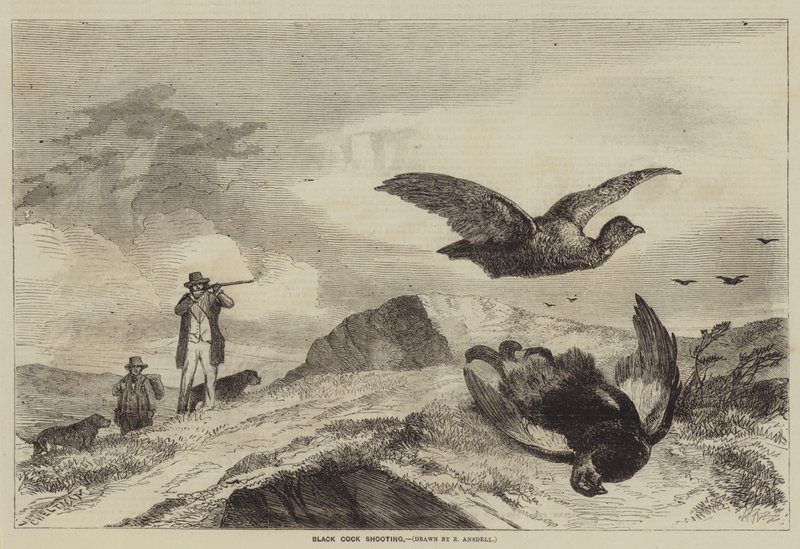 Auerhahnjagd von Richard Ansdell